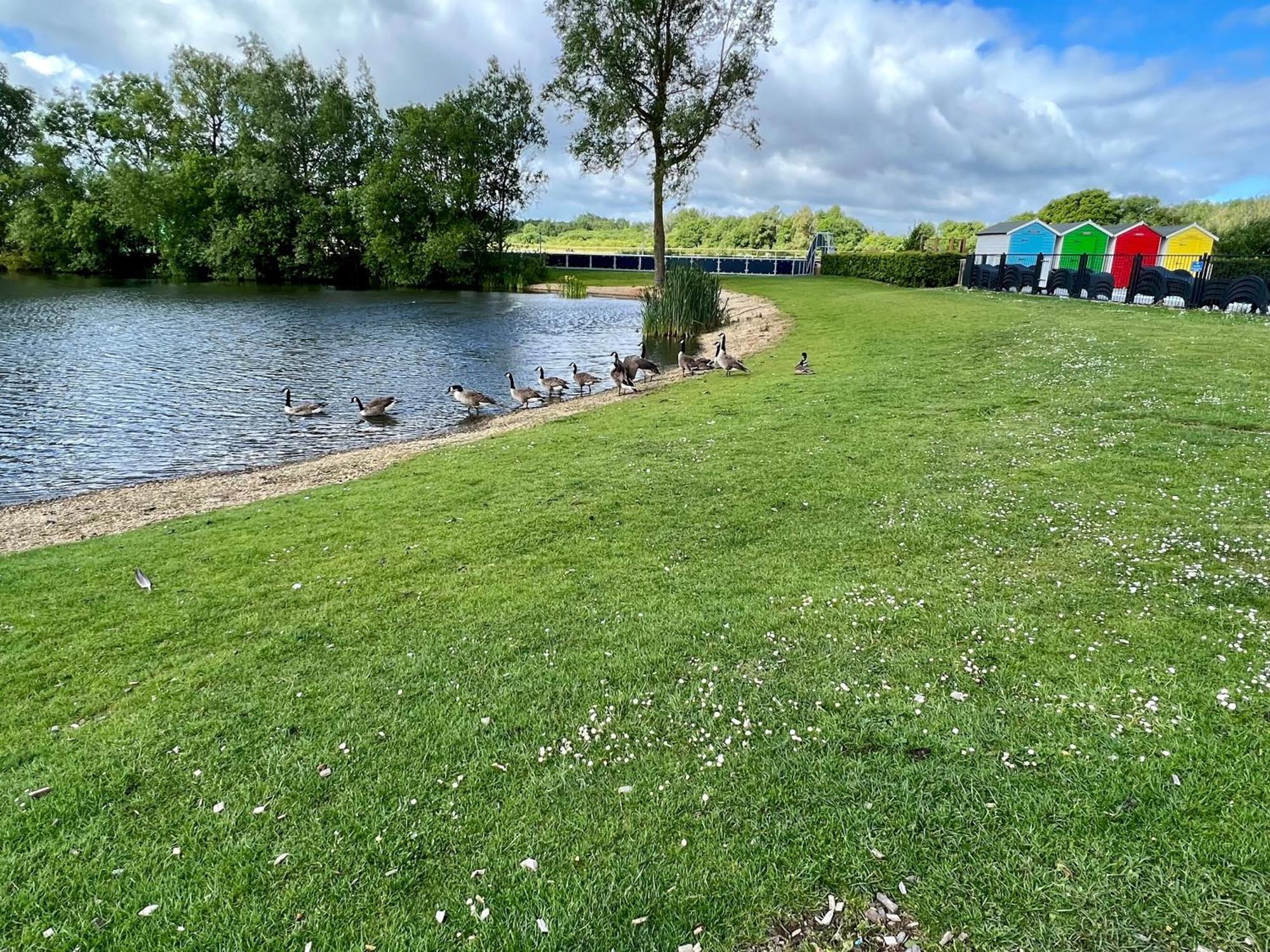 Lavender Lodge, Accessible Holiday home